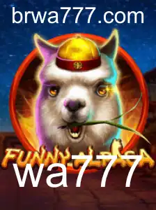Descubra o Mundo Divertido de FunnyAlpaca